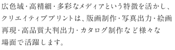 広色域・高精細・多彩なメディアという特徴を活かし、クリエイティブプリントは、版画制作・写真出力・絵画再現・高品質大判出力・カタログ制作など様々な場面で活躍します。